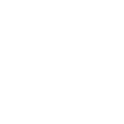 Predictive AI